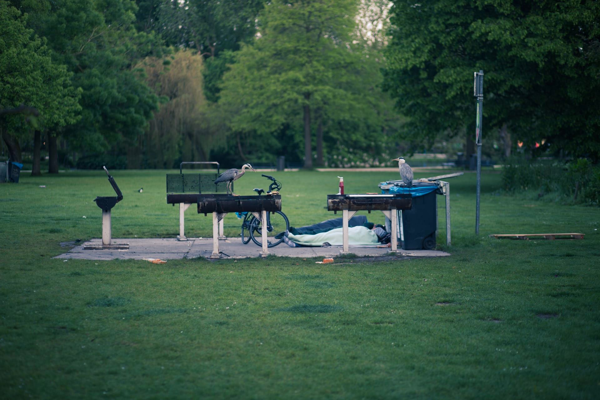 Veldwerk, documentaire reportage GGD Amsterdam