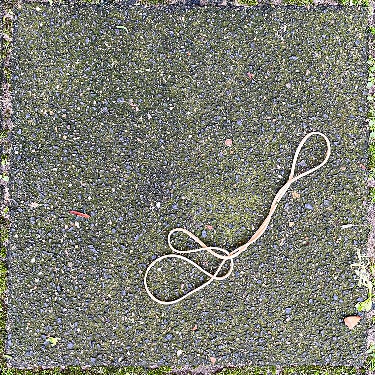 Tegeltje uit de serie Tiles of Amsterdam