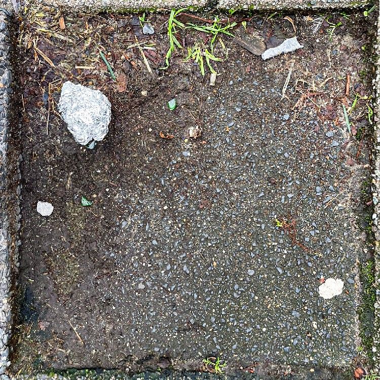 Tegeltje uit de serie Tiles of Amsterdam