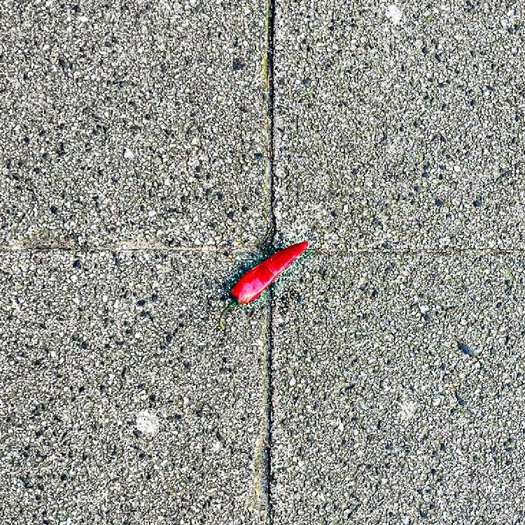 Tegeltje uit de serie Tiles of Amsterdam