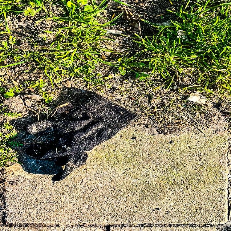 Tegeltje uit de serie Tiles of Amsterdam