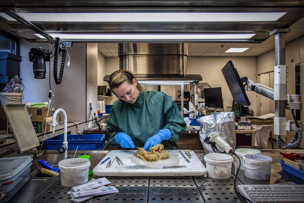 Documentaire foto: Autonoom onderzoek door vrouw in laboratorium. Joep van Drunen Photography