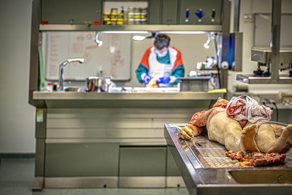 Autonoom documentaire: Lichaam op een autopsietafel tijdens een onderzoek. Joep-van-Drunen-2022-0525-2857.jpg Joep van Drunen Photography