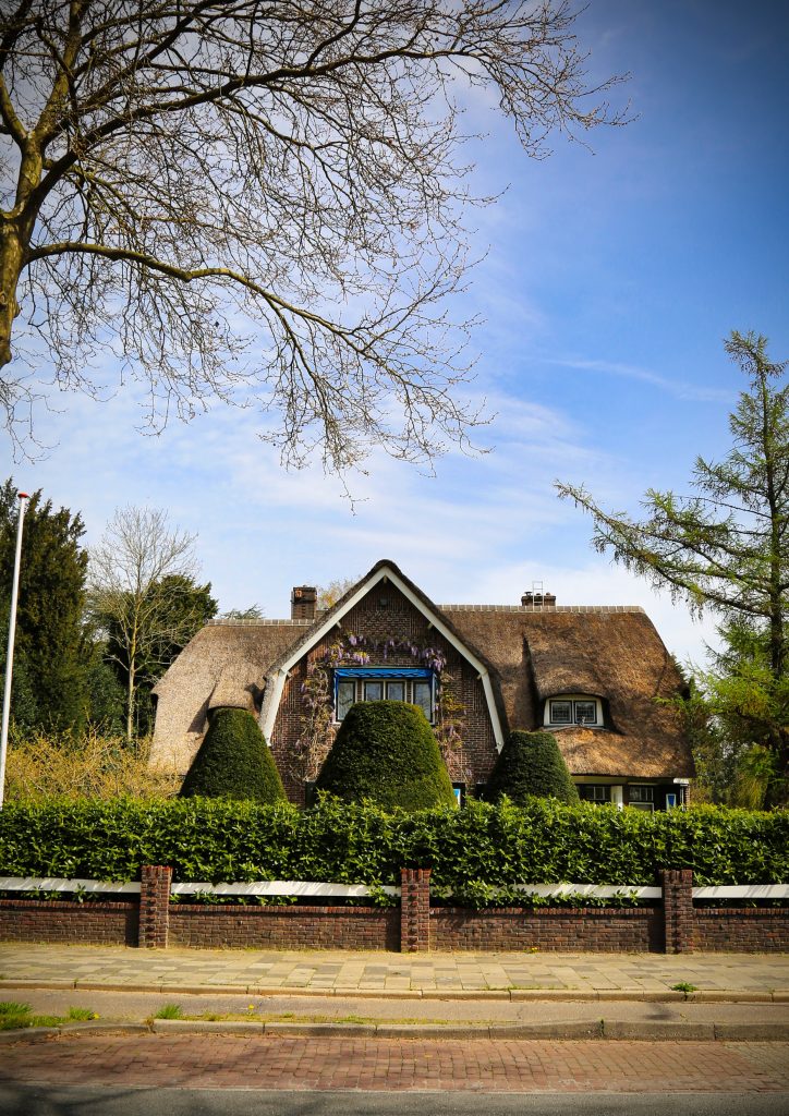 Bornseweg 112, Karel Jan: rietgedekte villa achter een groene haag en bakstenen muur in Borne. Joep van Drunen Photography