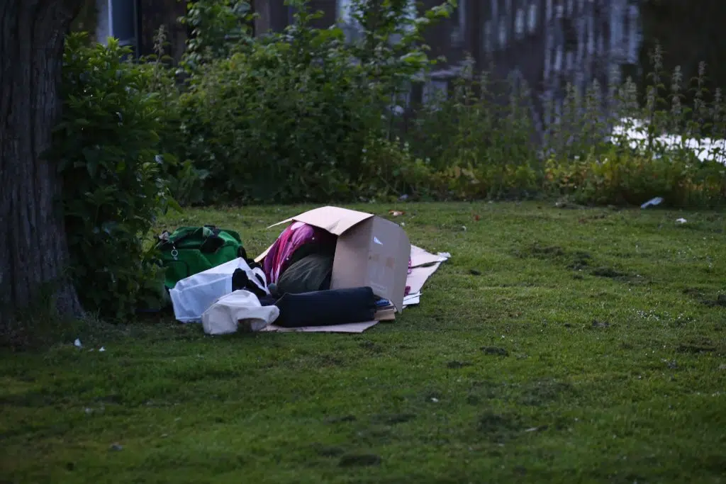 Veldwerk: Rommelige kartonnen doos en spullen op grasveld langs waterkant. Foto door Joep van Drunen Photography.