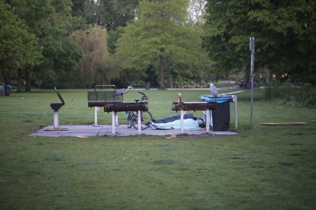 Veldwerk: Parktafereel met slapende persoon, reigers, fiets en barbecue. Joep van Drunen Photography