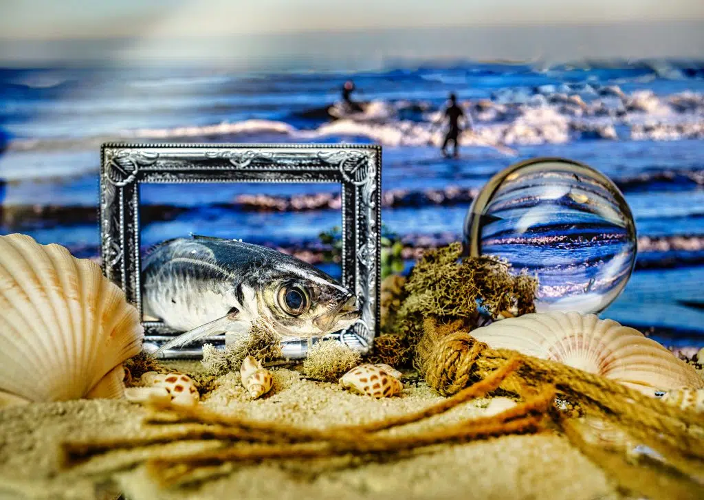 Vrije fotografie: Stillevenfoto met vis in lijst, schelpen, zand en een glazen bol die de zee weerspiegelt. IMG_0010-copy. Joep van Drunen Photography